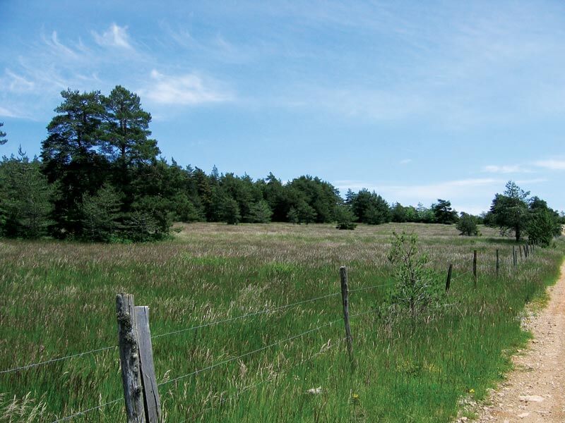 Causse de Sauveterre - Massegros Causses Gorges